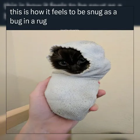 Snug Bug in a Rug