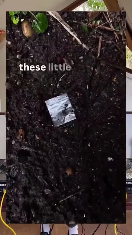 Why DJs Carry Little Packets