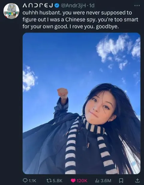 Chinese Spy Wife Goodbye