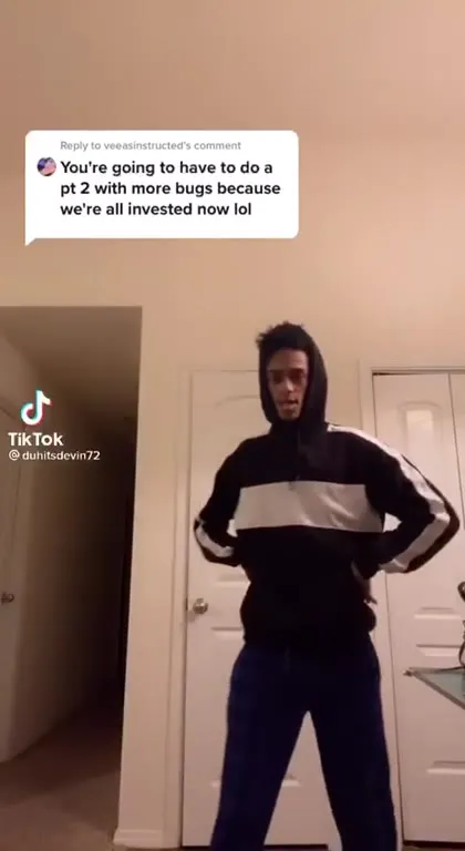 Bugs Dancing at the Club