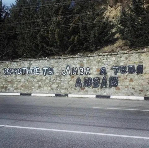 Животное, ты Лиза, я тебя люблю