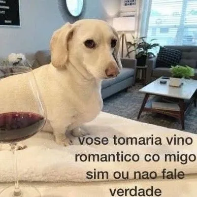 Vose Tomaria Vino Comigo