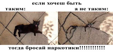 Если хочешь быть таким