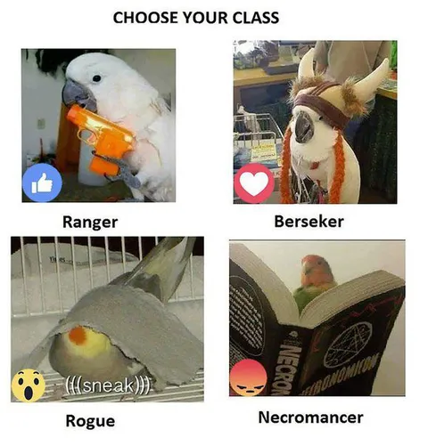 Choose Your Class Parrot Edition