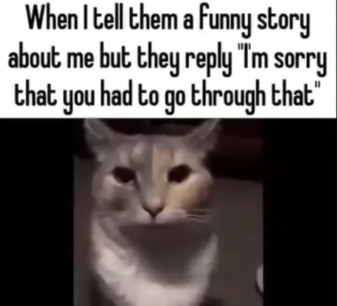 Sorry You Had To Go Through That Cat