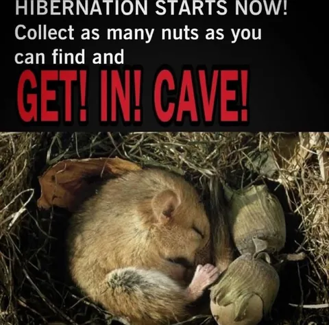 Hibernation Starts Now