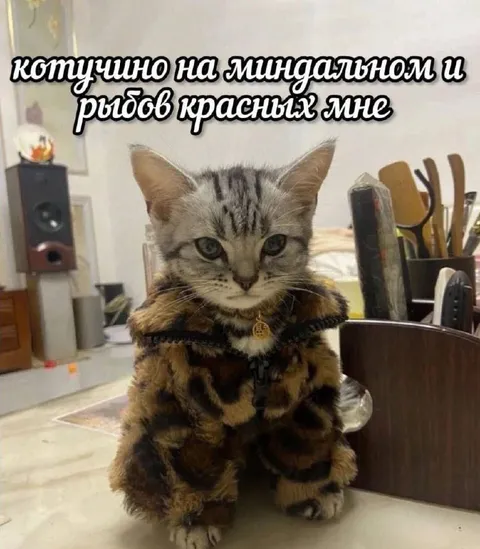 Кот в меховой шубе