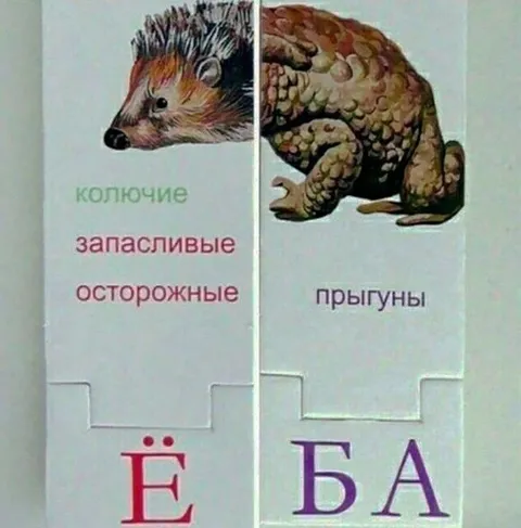 Ёжики и прыгуны