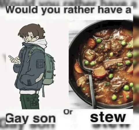 Gay Son or Stew