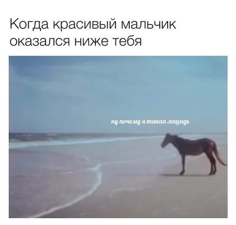 Когда красивый мальчик ниже тебя