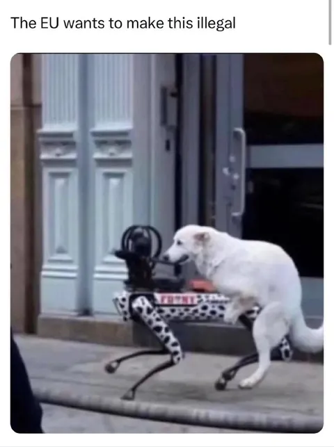 Dog Rides Office Chair