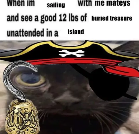 Cat Finds Buried Treasure