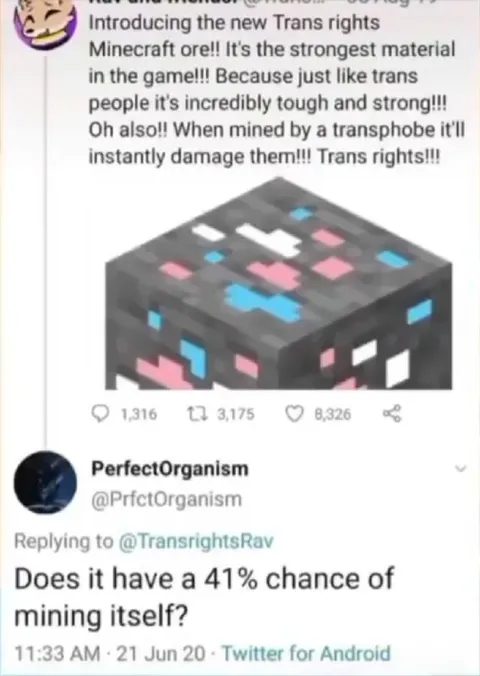 Trans Rights Minecraft Ore