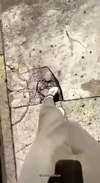 Провалился в царство котов