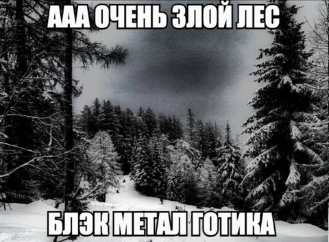 Очень злой лес под блэк-метал