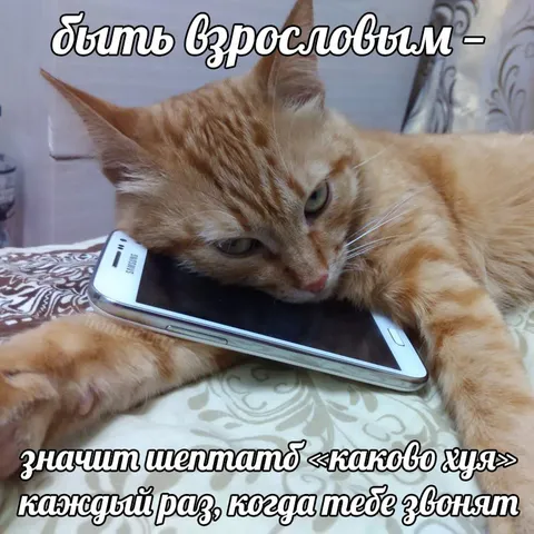 Быть взрослым и отвечать на звонки