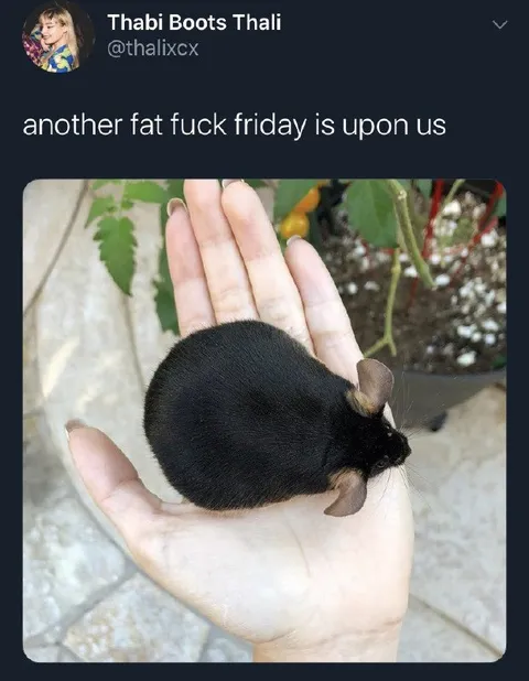 Another Fat Fuck Friday