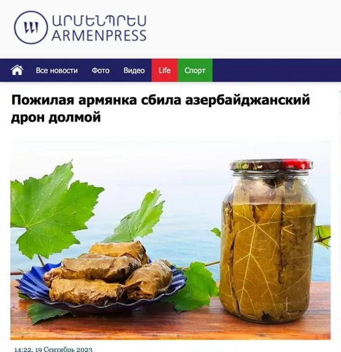 Армянка сбила дрон долмой