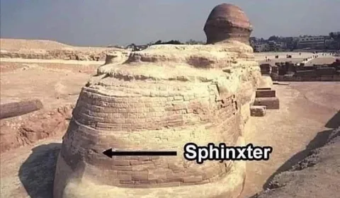 Sphinxter Arrow Joke
