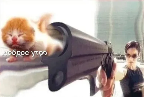 Доброе утро с котёнком и ружьём