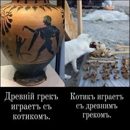Древний грек играет с котиком