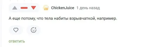 Тела набиты взрывчаткой