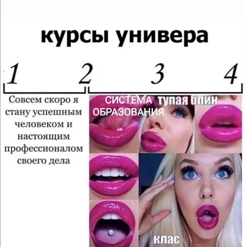 Курсы универа и система образования