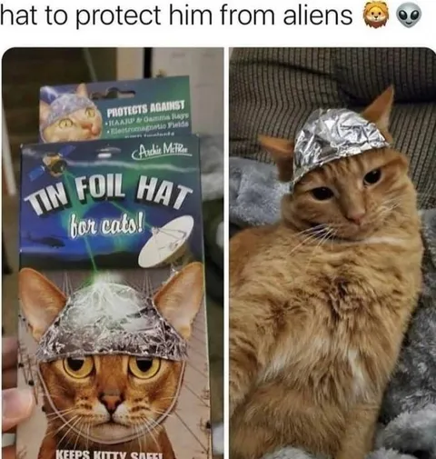 Tin Foil Hat for Cats