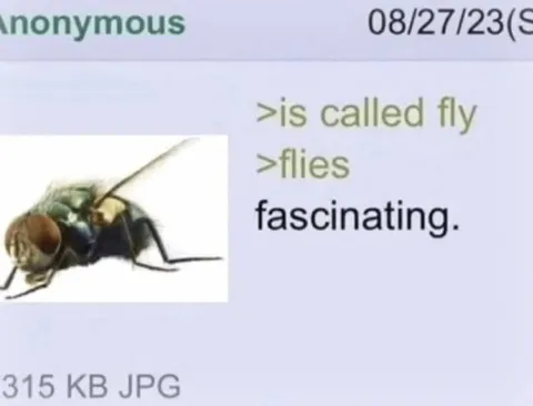 Fly Is Called Fly Because It Flies