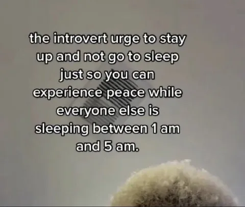 Introvert Midnight Peace