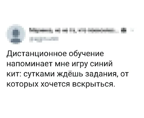 Дистанционное обучение и синий кит