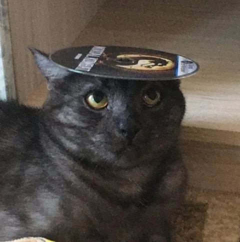 Кот в шляпе из пластинки
