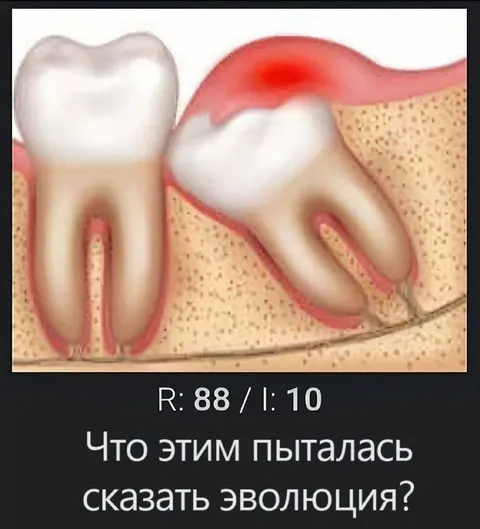 Что этим пыталась сказать эволюция
