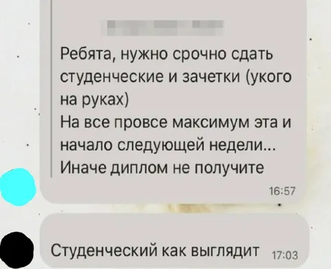 Студенческий как выглядит