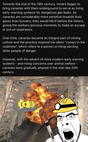 Canary in the Coal Mine