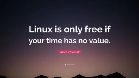 Linux Is Only Free If Time Has No Value