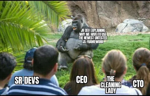 Junior Developer Explains New Framework