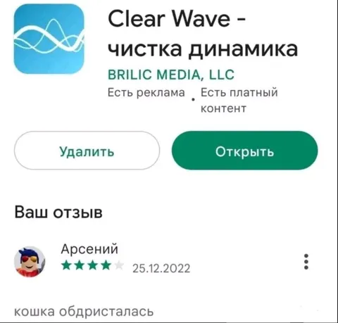 Отзыв о чистке динамика