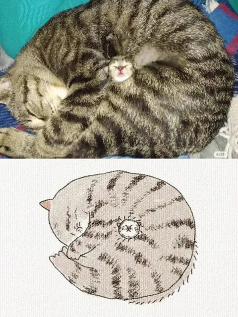 Кот, свернувшийся в идеальный круг