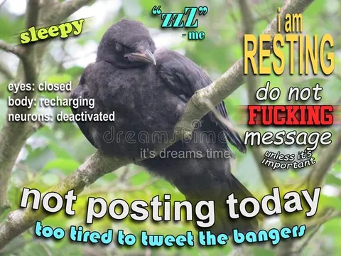 Sleepy Crow Not Posting Today