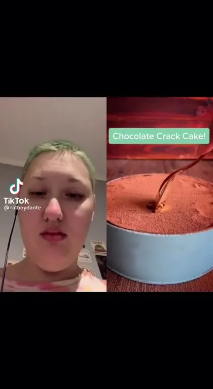 Chocolate Crack Cake Reaction