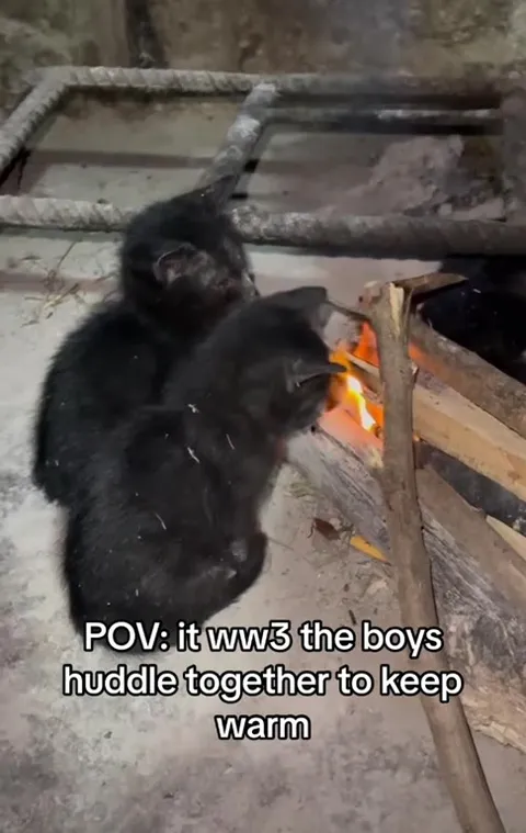 WW3 Boys Huddle by the Fire