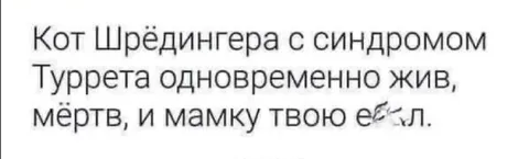 Кот Шрёдингера с синдромом Туррета
