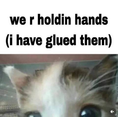 Glued Hands Cat
