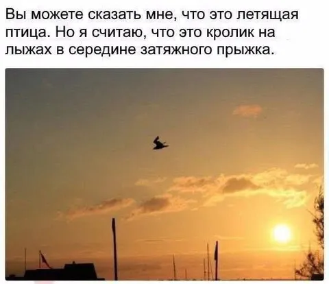 Кролик на лыжах в прыжке