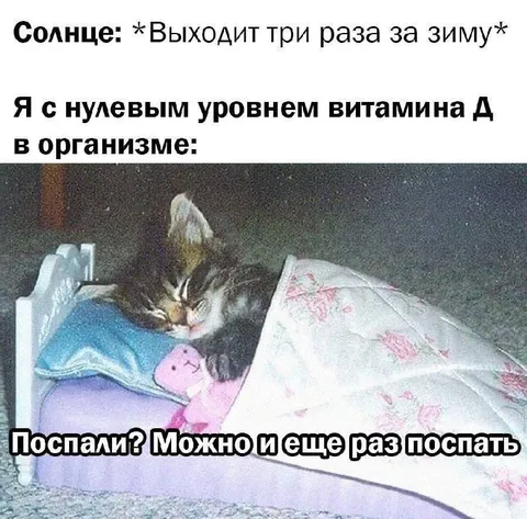 Кот зимой снова спит
