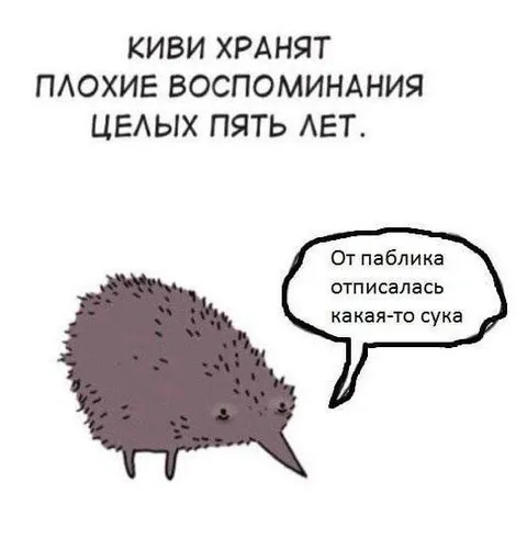 Киви хранит плохие воспоминания