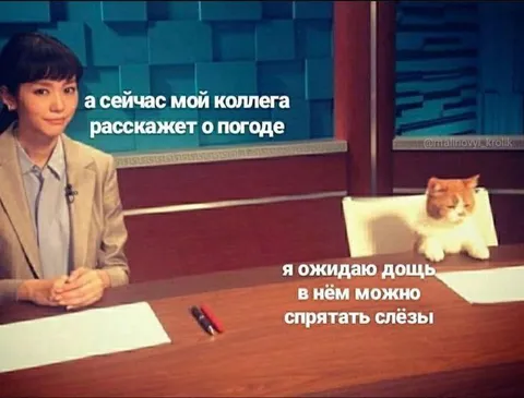 Коллега расскажет о погоде
