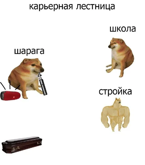 Карьерная лестница от школы до гроба