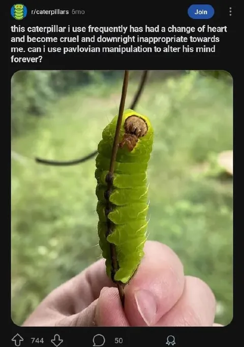 Pavlovian Caterpillar Manipulation